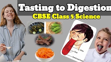 Tasting to digestion | Class 5 | EVS | Chapter-3 | CBSE | NCERT
