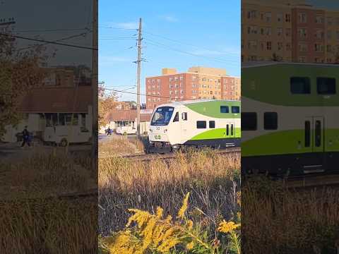 GO Transit CEM cab car 355 heads west through Streetsville! #train #gotransit #gotrain #commuterline