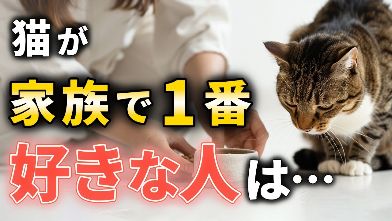 【猫が選ぶ1位】家族で一番好きな人の正体とは？【猫雑学】