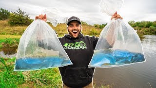 STOCKING my BACKYARD POND for the FIRST TIME!!! (Tons of Fish)