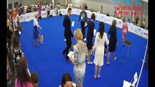 cam37 0624
