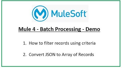 Mule 4 Batch Processing - Filtering of Records