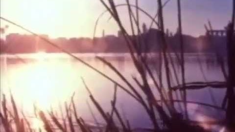 Mental Minority - Unclouded - Video by continental851