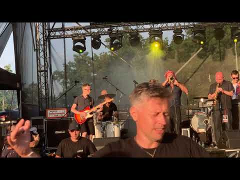 Skadyktator koncert na