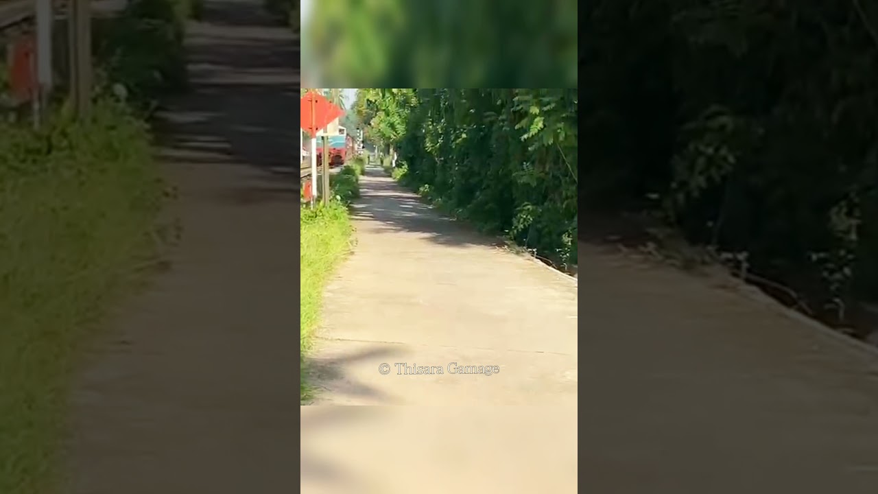 Live Train Accident in Sri Lanka 