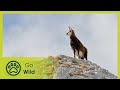 Schladming Magic Mountains - Land of Champions - The Secrets of Nature