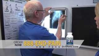 Flexpet Gives You A Tour Of Dr. David Randalls Veterinarian Office