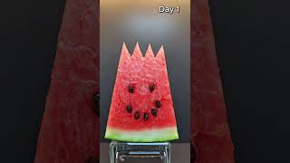 🍉 What Happens to a Watermelon After 10 Days Without a Fridge? 😱 #Shorts