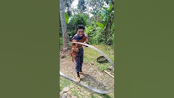 belajar membuka gulungan gergaji pita