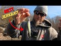 Why THIS JERKBAIT WORKS In WINTER GRASS