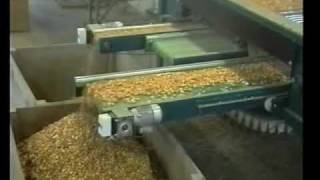 AllroundVP Radial Grader Onions