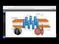 Webinar Series: Educating Through COVID19