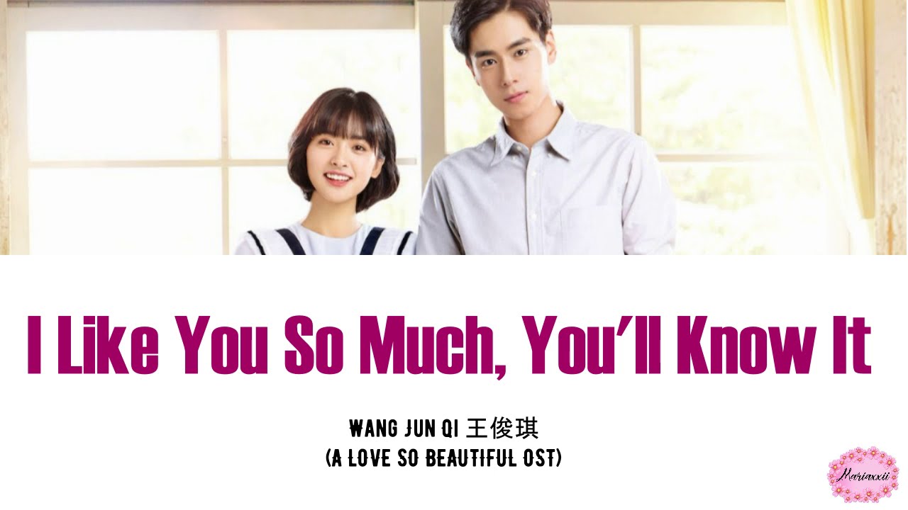 Wang Jun Qi    I Like You So Much Youll Know It Lyrics Pinyin  Eng A Love So Beautiful OST