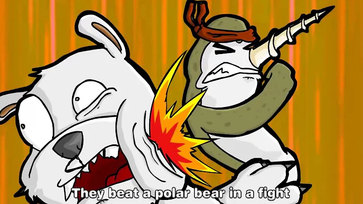 Narwhals   animated music video   MrWeebl