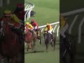 9 | 6 | ARMOR GOLDEN EAGLE | Z Purton #Purton #Horse #Racing #Sport #Results #賽馬結果 #马會 #油管 #赛马结果