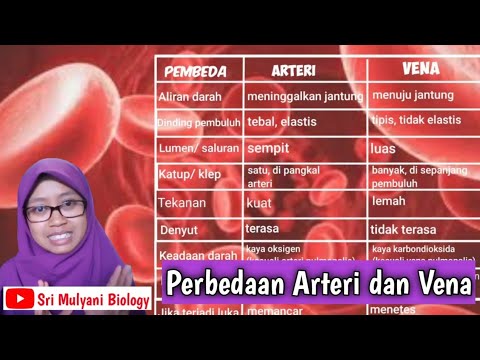 Video: Adakah Anda Tahu Perbezaan Antara Arteri & Vena? Cari di Sini