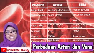 Perbedaan arteri dan vena| detail