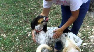 FosterMomLovesAnnie.AVI
