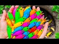 Tangkap ikan di kolam kecil, ikan cupang, lele bule, ikan mas, koi, gurame jumbo, ikan pelangi 🐳🐳🐳