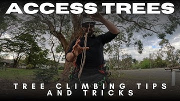 Climb with Confidence: Essential Tree Access & Safety Techniques