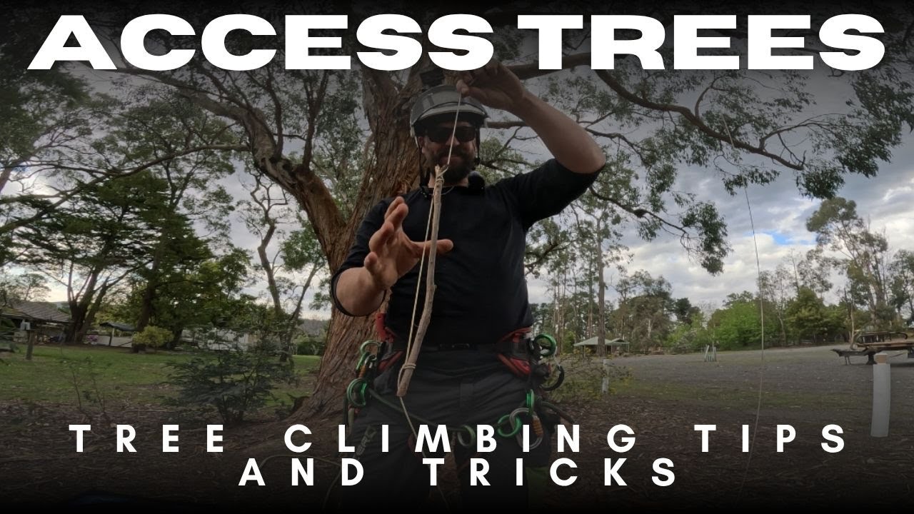 Climb with Confidence: Essential Tree Access & Safety Techniques - YouTube