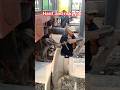 very hard and risky job #shorts #viral #railway #train