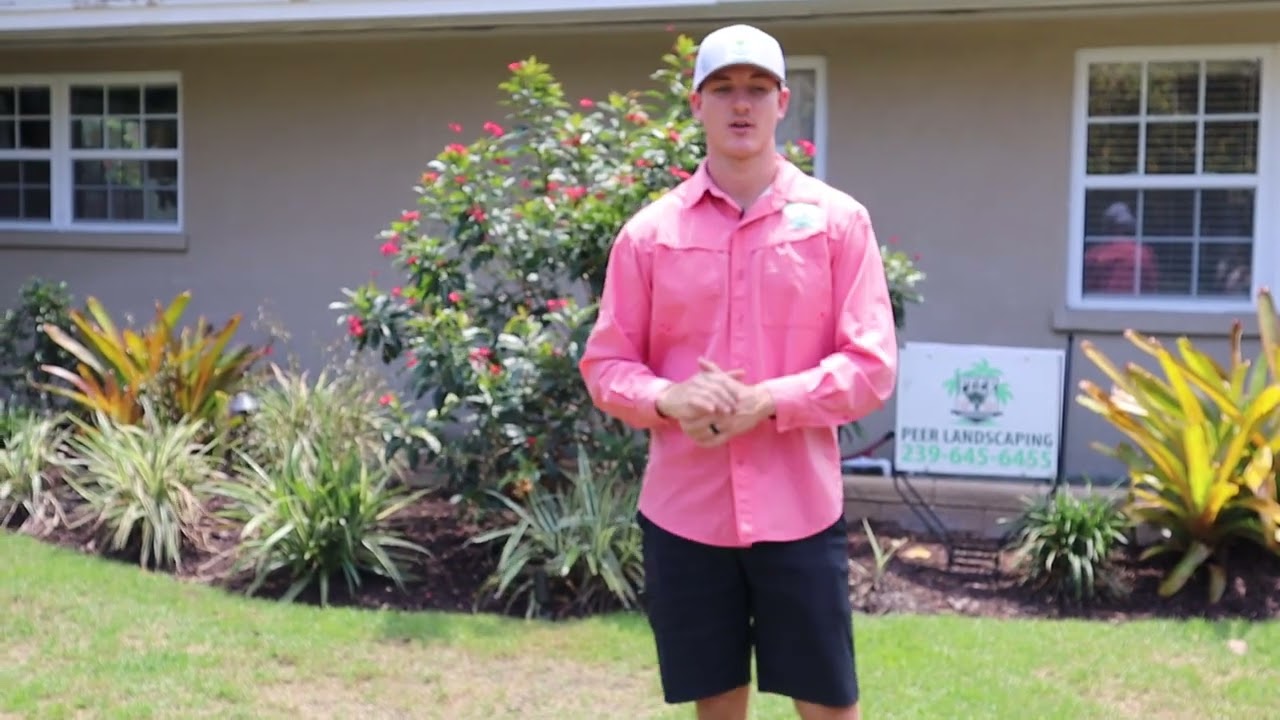 Peer Landscaping Discusses the Importance of Landscape Maintenance,  Fort Myers, Florida