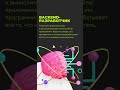 ВИДЫ ПРОГРАММИСТОВ #юмор #программирование #itschool #ai #рек