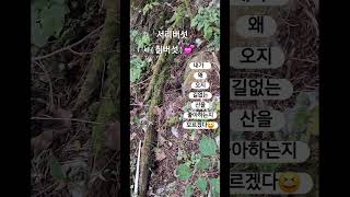 #버섯산행#회색깔대기버섯 #린#옛날애인#서리버섯#귀촌 #오지 #산골#서리버섯  #나는자연인이다 야생버섯