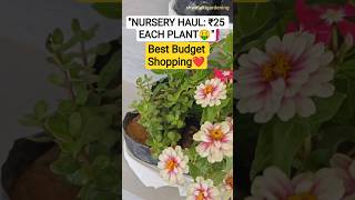 Best Budget Plants for Summer | ₹25 x 8 = ₹200 Shopping 🪴 #shorts #gardening  #youtubeshorts #plants