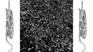 unknown artist - untitled (longer excerpt)