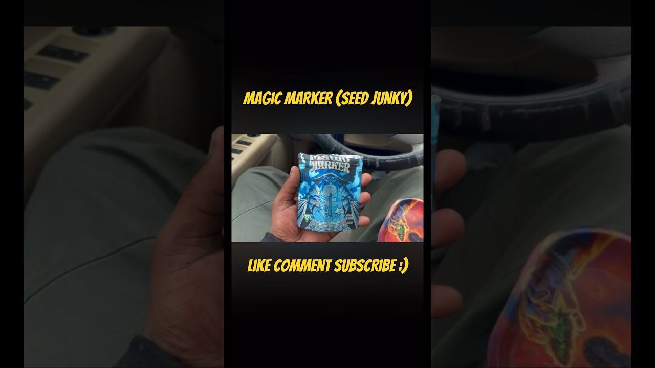 Magic Marker From Seed Junky 🔥🥵 