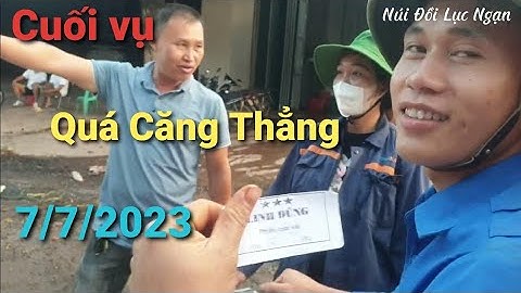 Quay Giá Vải Mà Căng Thẳng Quá Bạn Ạ I Giá Vải Thiều Lục Ngạn Cuối Vụ