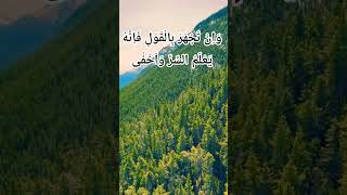 🌳#quranrecitation #egzonibrahimi #rahman #rahim #allah #nature#elhamdülillah