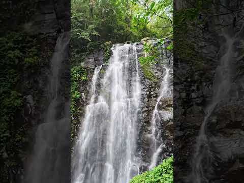 滿月圓O型縱走｜拉卡山超棒展望＋處女瀑布＋遊客中心(蝴蝶館、溪流館、森林館) #滿月圓#拉卡山#東滿步道#處女瀑布#新北登山#三峽景點