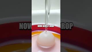 The Magic Egg Bouncing Without Breaking! Net Worth