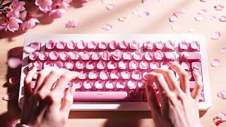 40 Epic Keyboards That Will Change Your Perception of ASMR