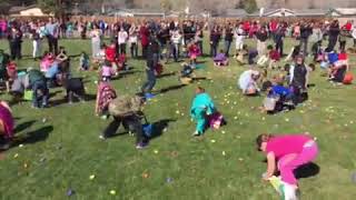 C5's 2016 Easter Eggstravaganza