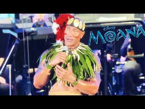 Dwayne Johnson Celebrates Moana Premiere at Hollywood Bowl with Island Friends