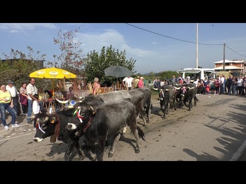 Celebrada la 40 Edici&oacute;n de la Olimpiada del Tudanco