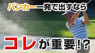 ８０対２０ゴルフ上達システム4枚組小原大二郎 書籍 - ゴルフライブ公式サイト