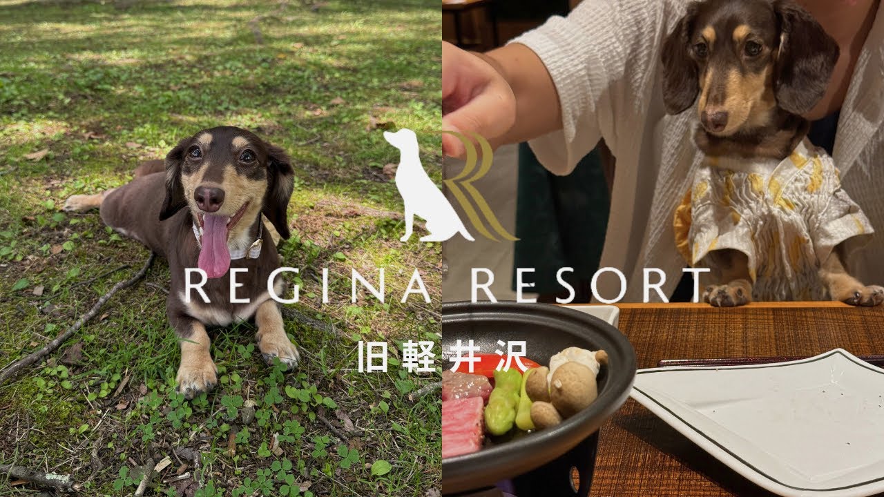 軽井沢｜愛犬とおこもりステイ【レジーナリゾート旧軽井沢】