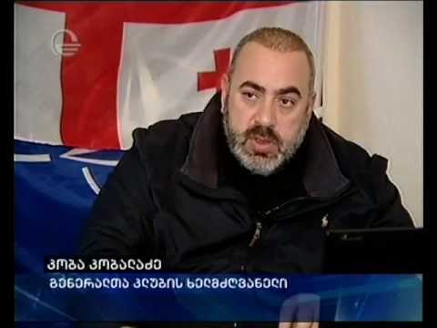 ირაკლი ძნელაძის წარდგენა