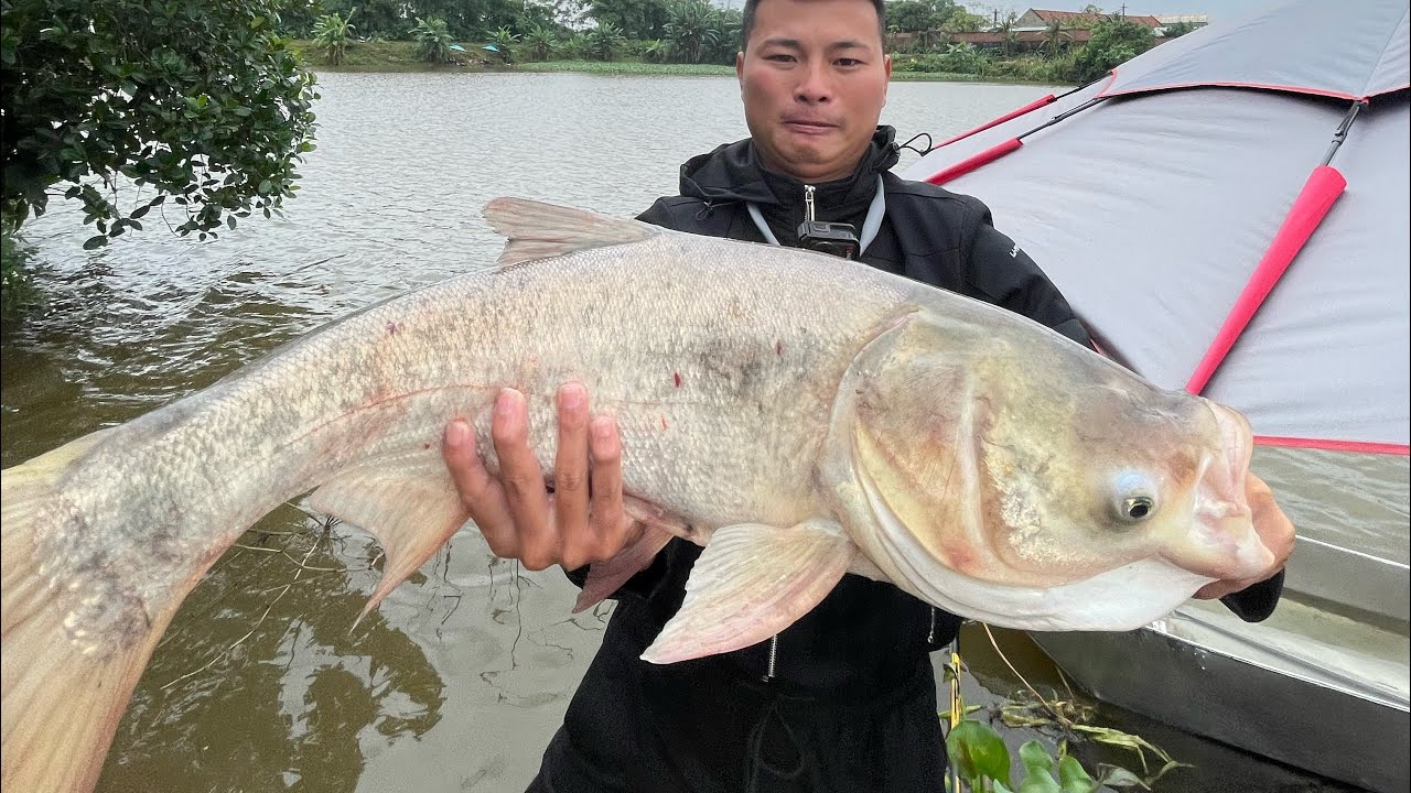 Tay chủ hồ họ Lưu Hồ Lò gạch nam an Ngày bội thu