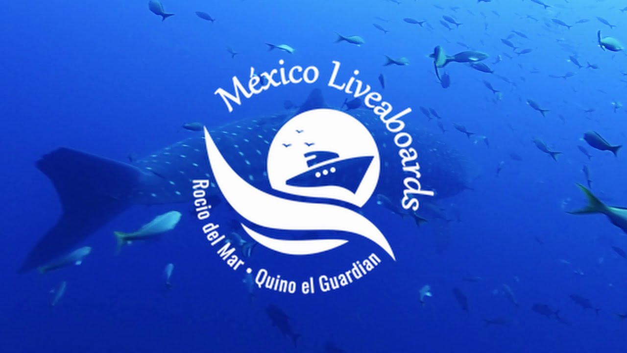 Escape it all with Mexico Liveaboards in 2021!
