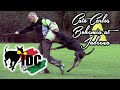 IDC WM 2019 world championships Team GB competitor Doberman Cato Carlos Bohemia at Jadeena