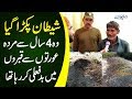 The Shocking Graveyard Incident At Chak Joya Okara – Gorkan Arrested By The Police