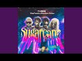 Sugarcane (Remix)