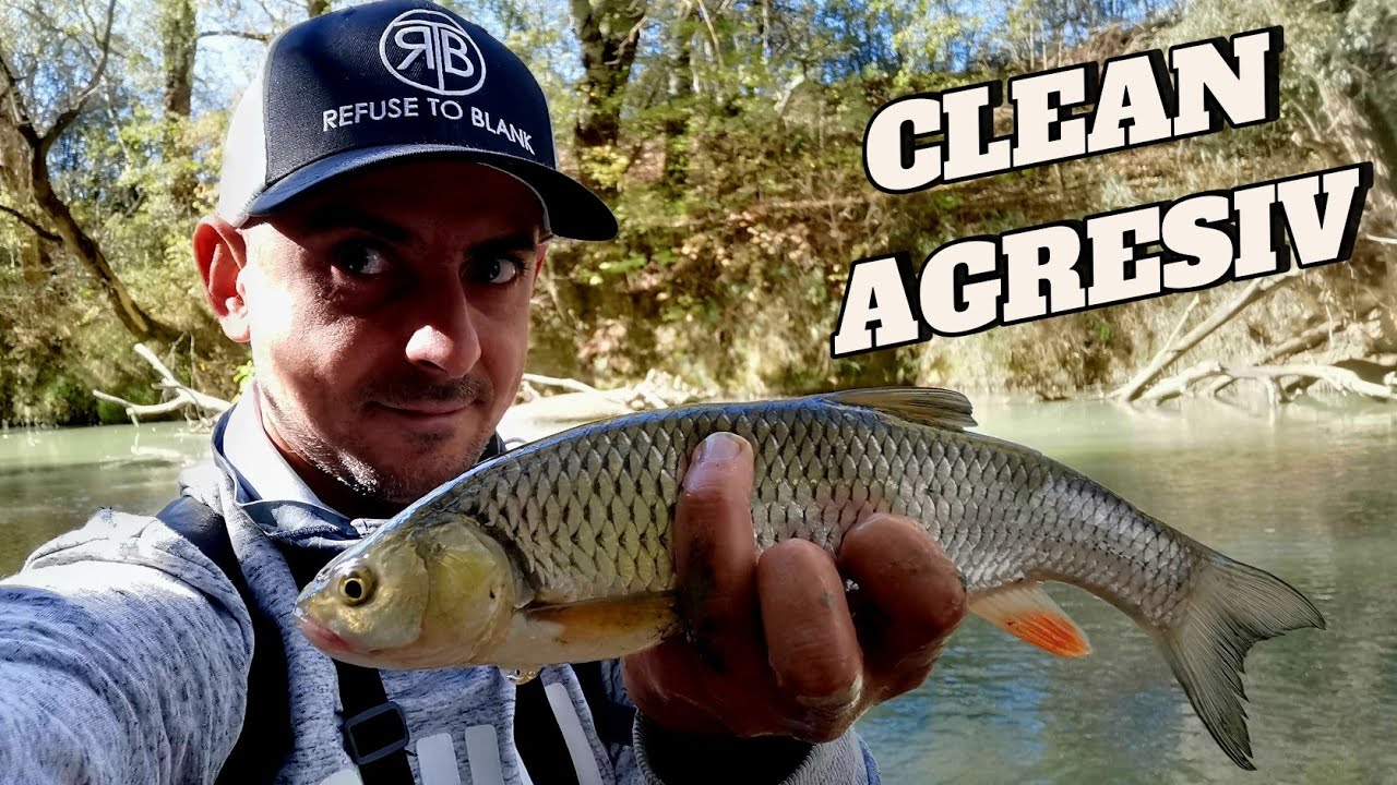 CLEAN agresiv pe raul PRAHOVA - Am găsit din nou locul cu atacuri!