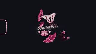 Jay Glavany - BUTTERFLIES INTERLUDE (VISUALIZER)